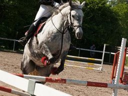 img-98781-578